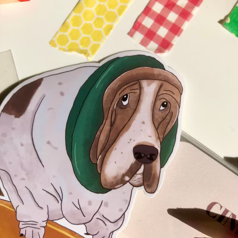 可愛狗狗插畫貼紙 憂鬱巴吉度滑板犬 防水貼紙 行李箱貼