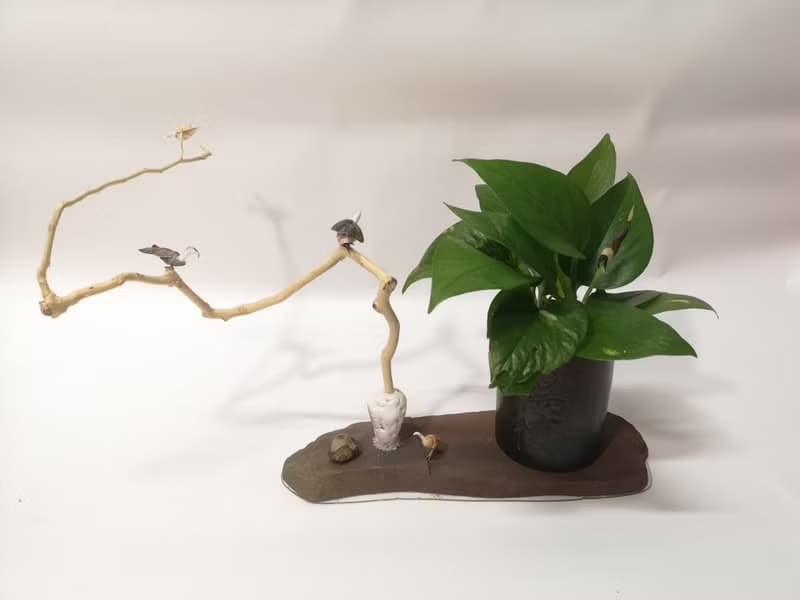 -拖鞋- 花台 花座 展示架  盆栽架 多肉植物 花架 置物台