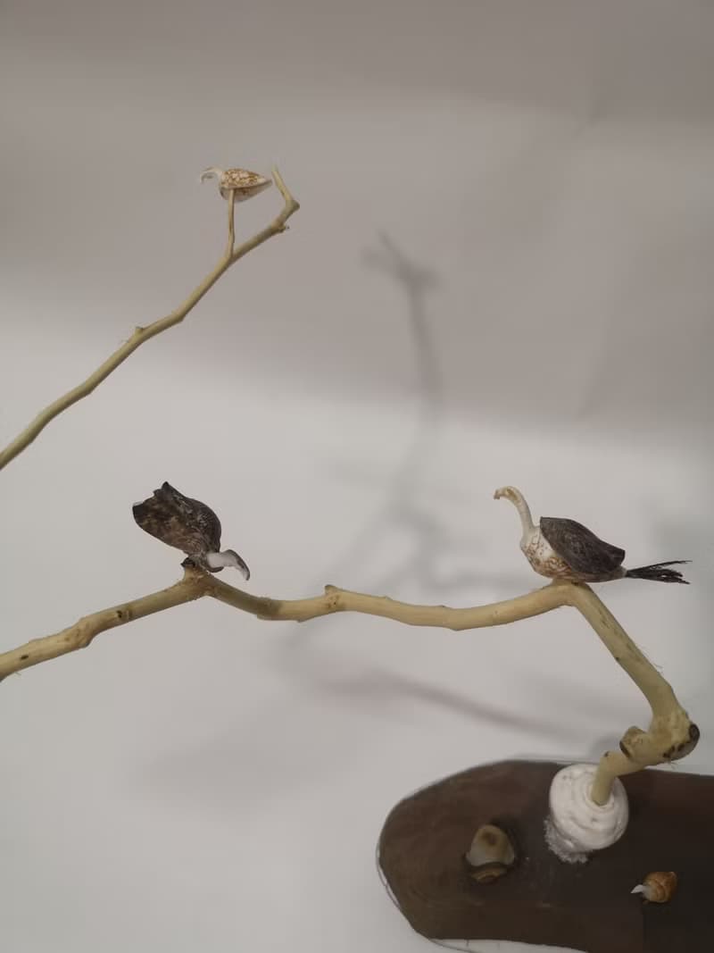-拖鞋- 花台 花座 展示架  盆栽架 多肉植物 花架 置物台