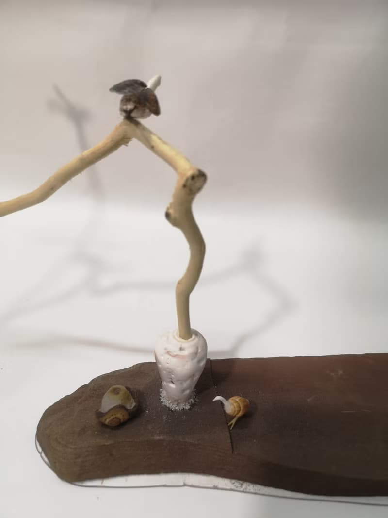 -拖鞋- 花台 花座 展示架  盆栽架 多肉植物 花架 置物台