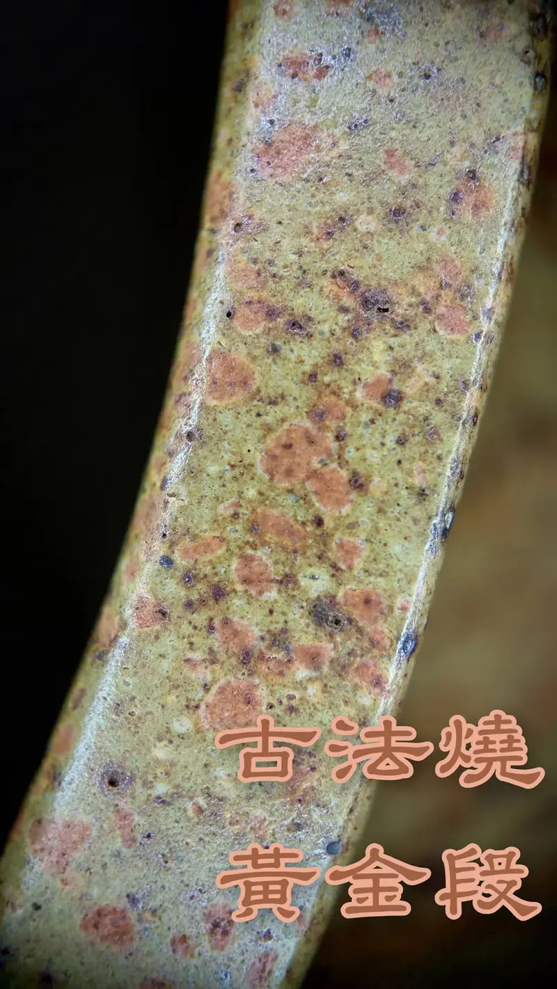 【送禮好物】過橋扁腹 黃金段古法燒 紫砂 彭全中助工 280ml