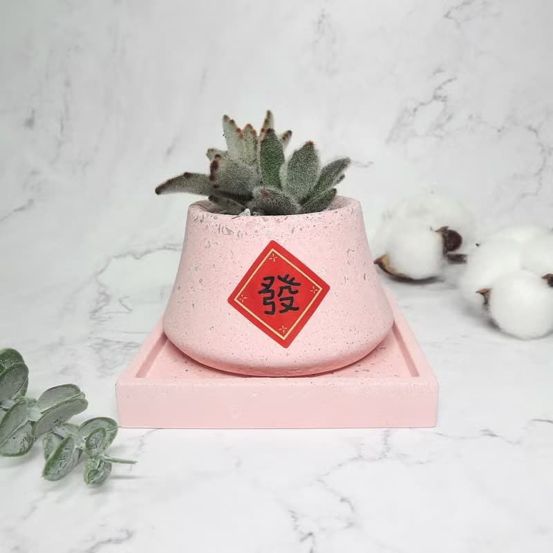 ∣玉兔迎春∣手作泥盆/多肉造型植栽/接單訂製商品