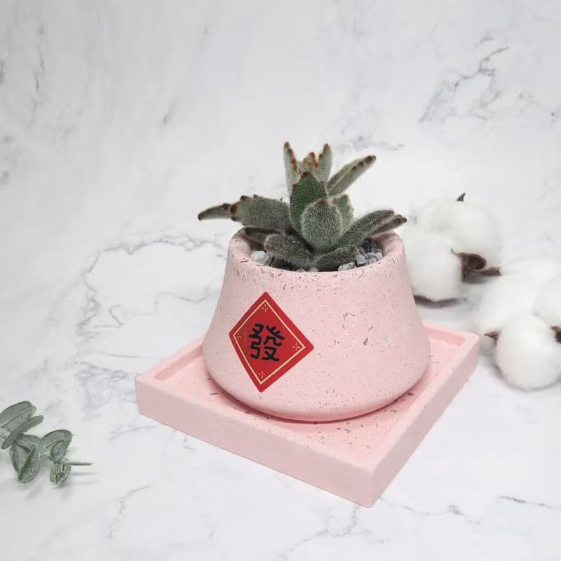 ∣玉兔迎春∣手作泥盆/多肉造型植栽/接單訂製商品