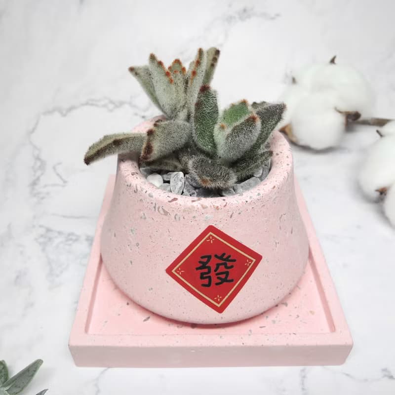 ∣玉兔迎春∣手作泥盆/多肉造型植栽/接單訂製商品