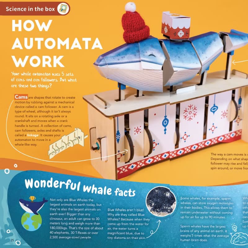 聖誕鯨魚自動機