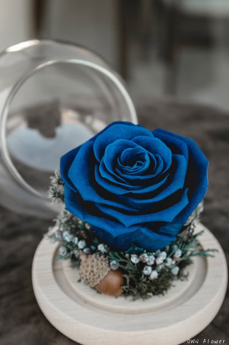 永生藍色玫瑰/聖誕禮物/永生花玻璃盅/生日禮物/交換禮物/不凋花