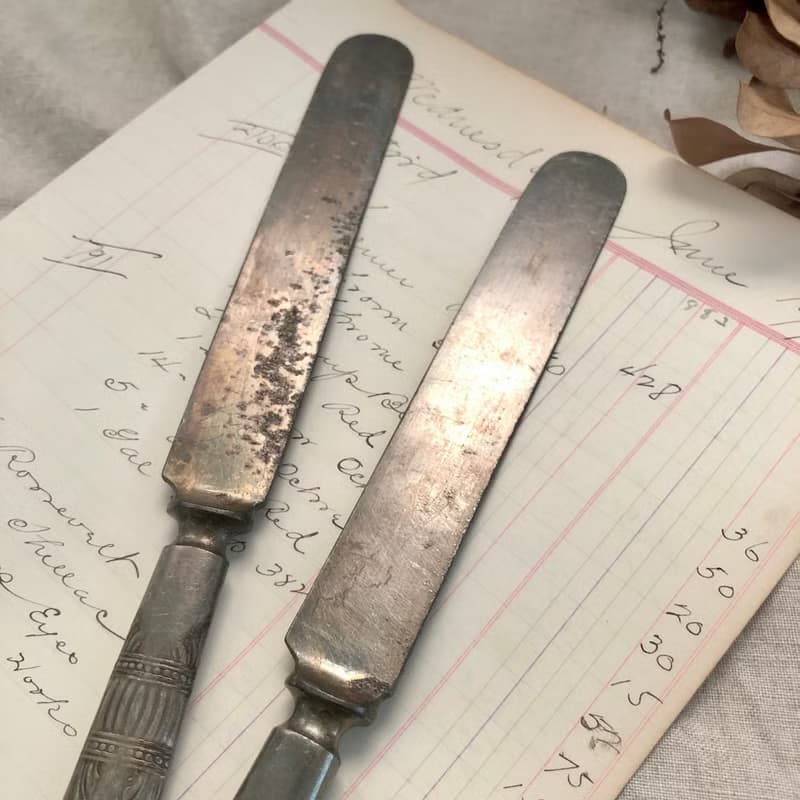 Vintage 美國早期鍍銀奶油刀2支組 擺設/拍攝用