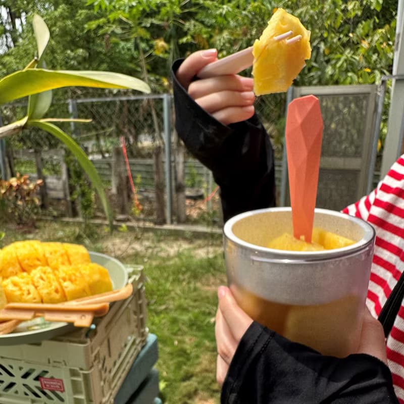 德國koziol 派對叉子4入組