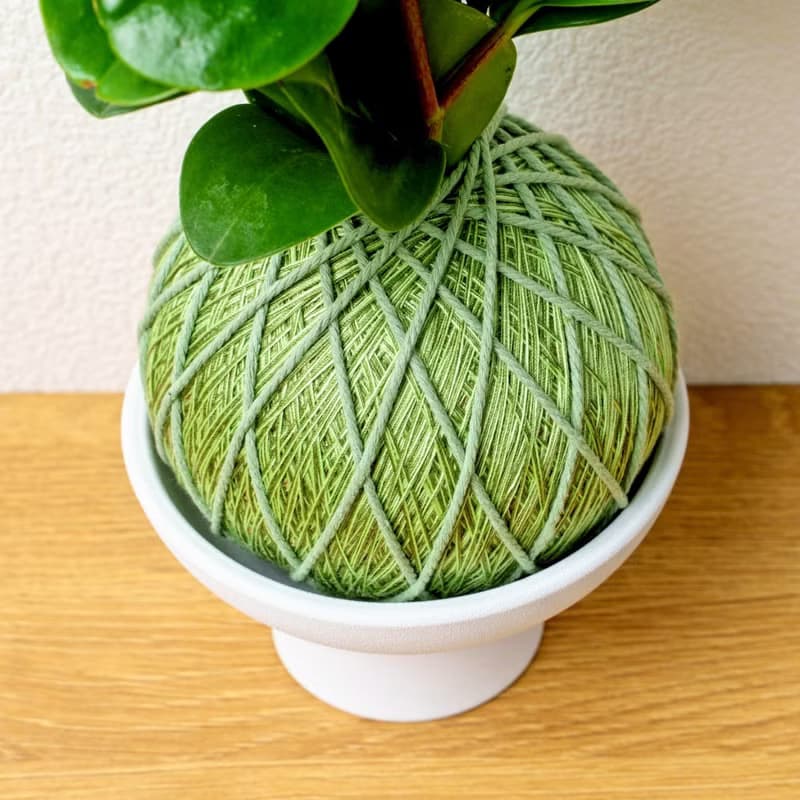 苔球植物 圓葉椒草草綠苔球加磨砂高腳缽 苔球 苔玉 禮物