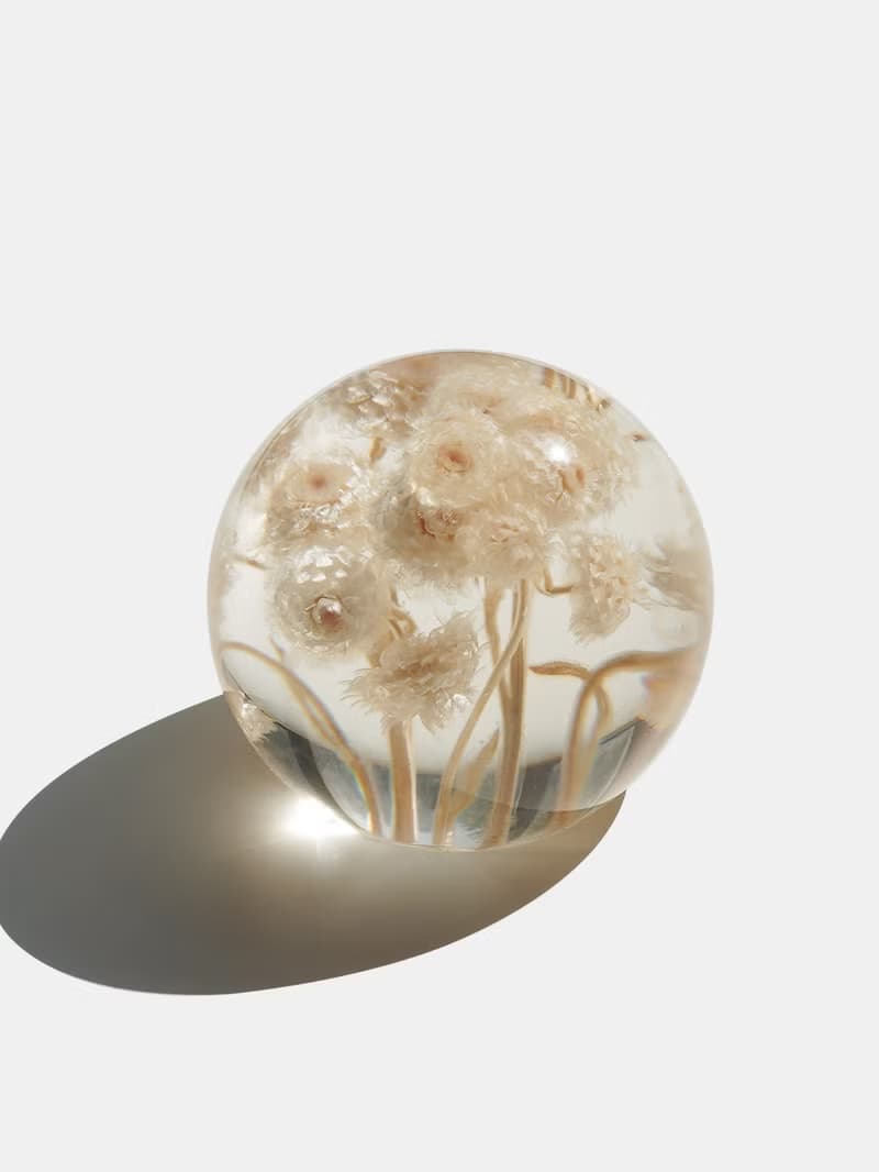 Immortal ball paperweight