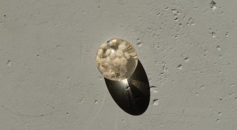 Immortal ball paperweight