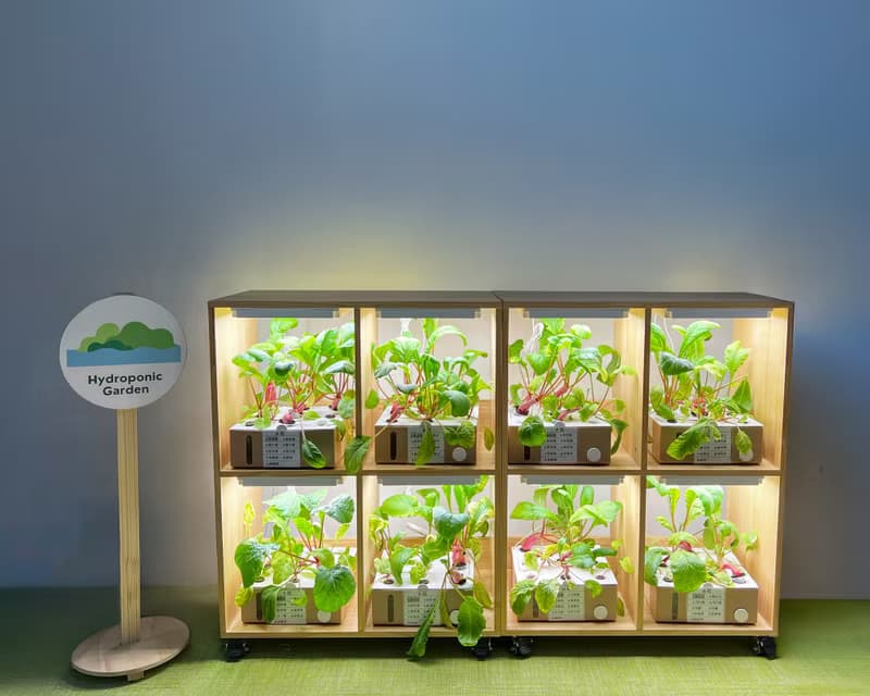 【定制】種菜櫃/水耕蔬菜種植櫃/傢俬/智能移動 水耕種植機/菜園