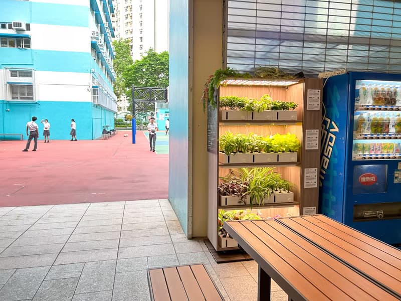 【定制】種菜櫃/水耕蔬菜種植櫃/傢俬/智能移動 水耕種植機/菜園