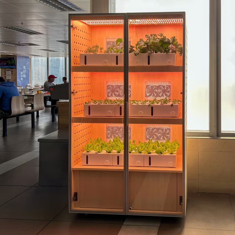 【定制】種菜櫃/水耕蔬菜種植櫃/傢俬/智能移動 水耕種植機/菜園