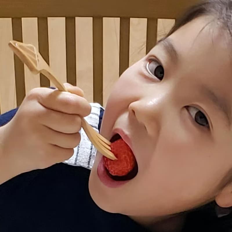 【SPICE】日本 PETIT'S MAMAN 兒童 天然木頭叉子&湯匙套組-兔子