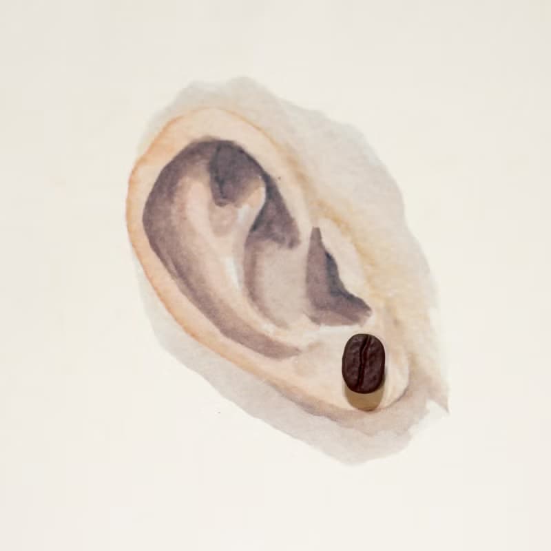 咖啡豆耳環-單賣 Coffee beans Earring