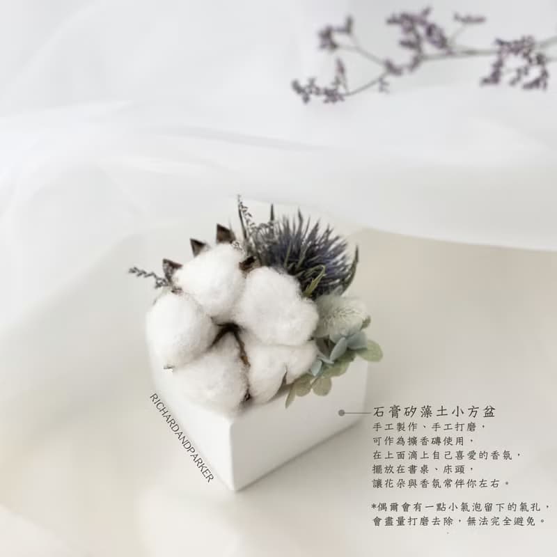 【棉花紫薊】 乾燥花 桌花 擺飾 石膏擴香石