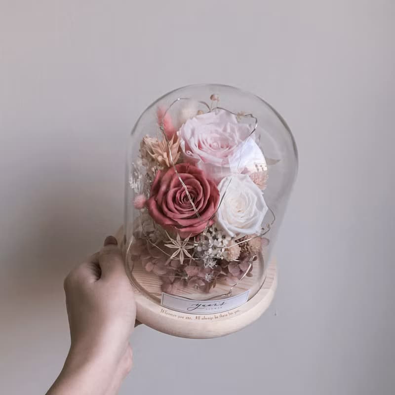 粉白莓果珊瑚花園 永生玫瑰花小夜燈  交換禮物 婚禮 生日 情人節