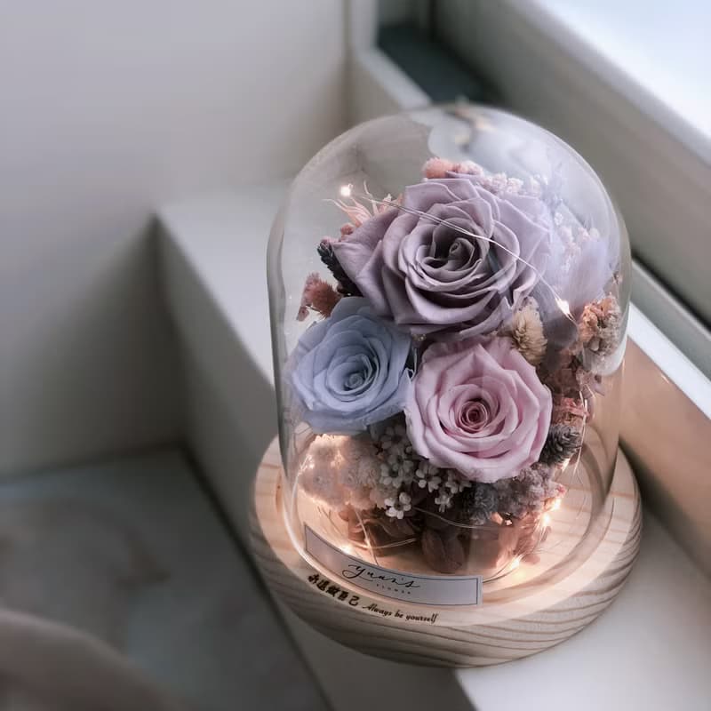粉白莓果珊瑚花園 永生玫瑰花小夜燈  交換禮物 婚禮 生日 情人節