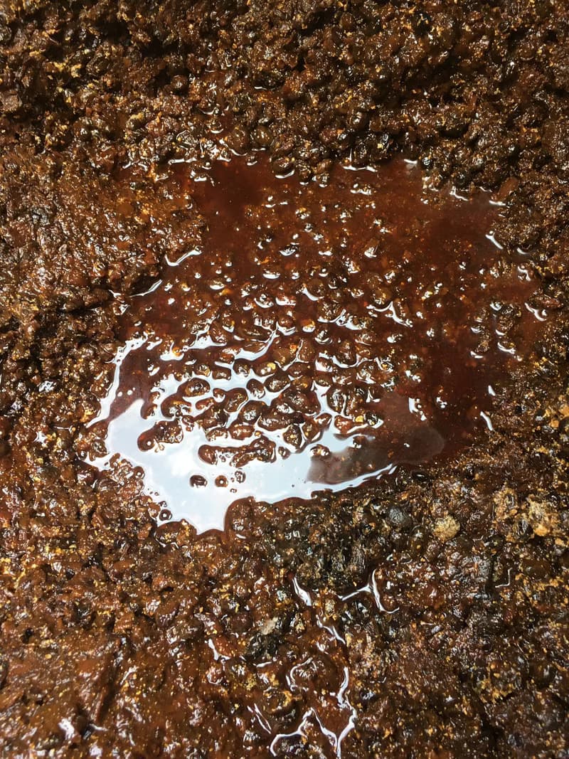 手作純釀醬油雙入禮盒-黑豆蔭油 油膏 300ML 長輩禮物
