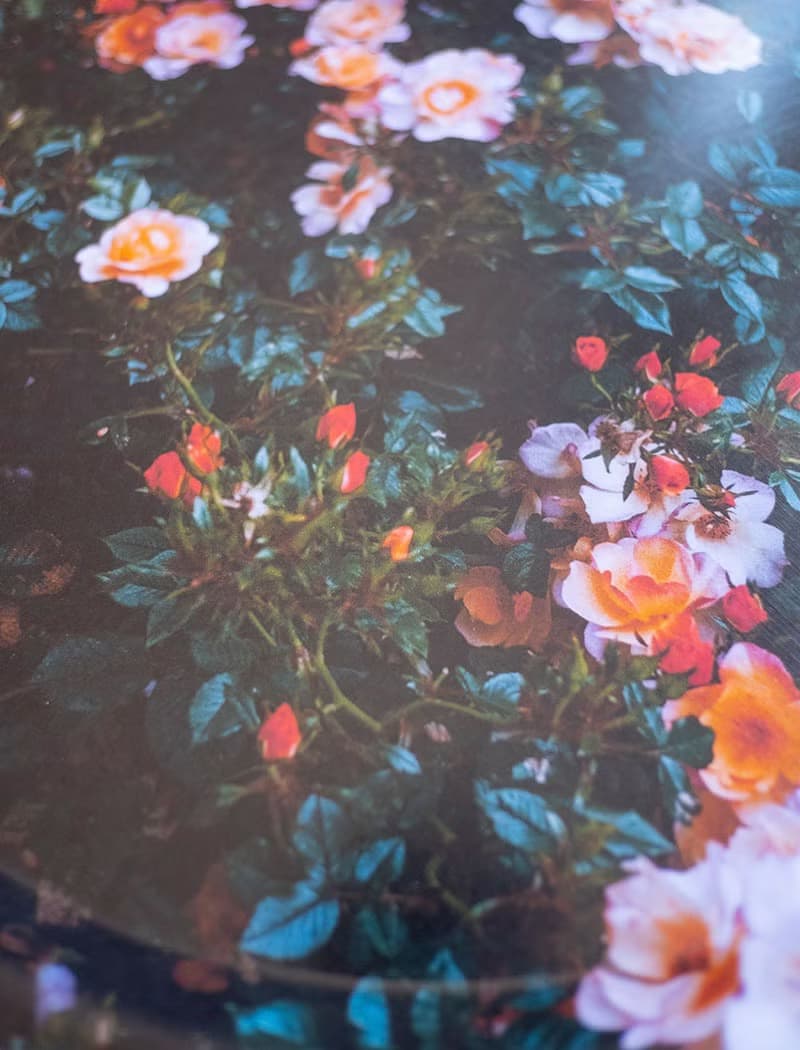 圓型托盤-ROSE TRAY (38cm)