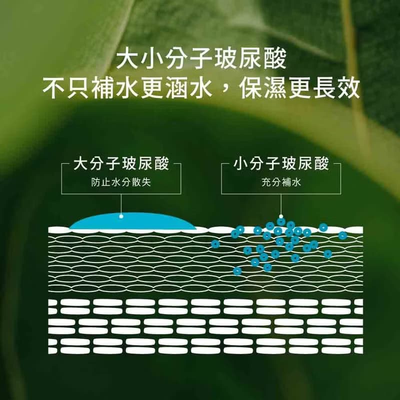 【綠藤生機】純粹保濕精華液 30ml 高濃度大小分子玻尿酸