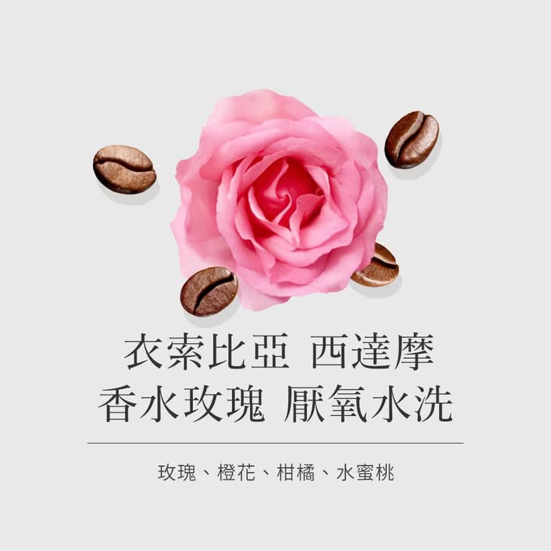 玫瑰&香吉士風味 | 香水玫瑰 厭氧水洗 - 咖啡豆