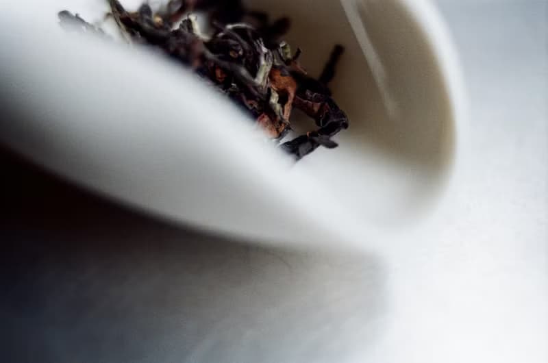 京盛宇【茶葉】東方美人100g-品味罐