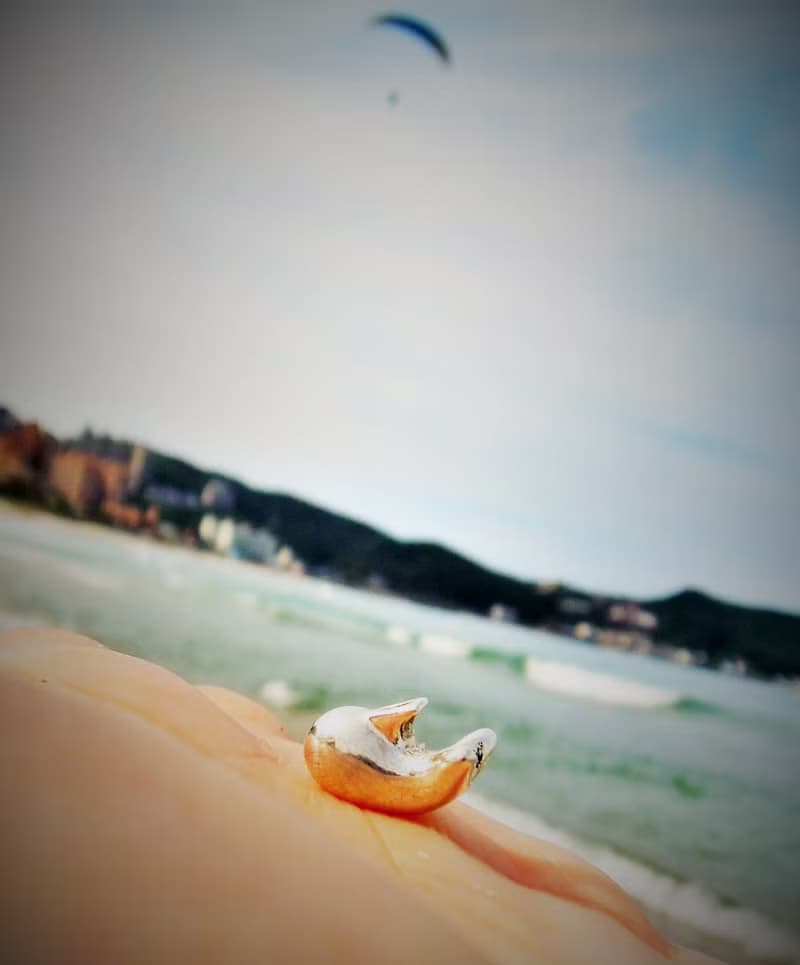 [療癒系]可愛虎鯨 純銀項鍊 手作 / 鎖骨鍊 / 禮物 / 紀念日／情人節