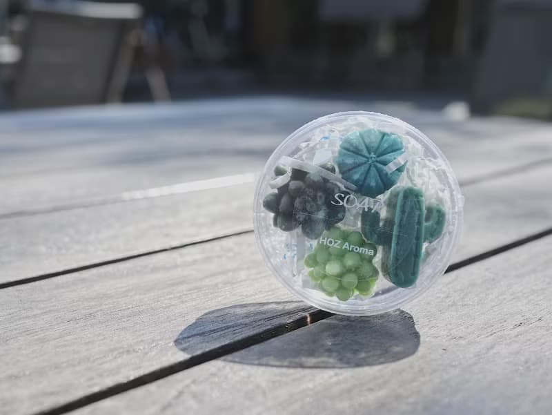 多肉植物 造型手工皂 - 小盒