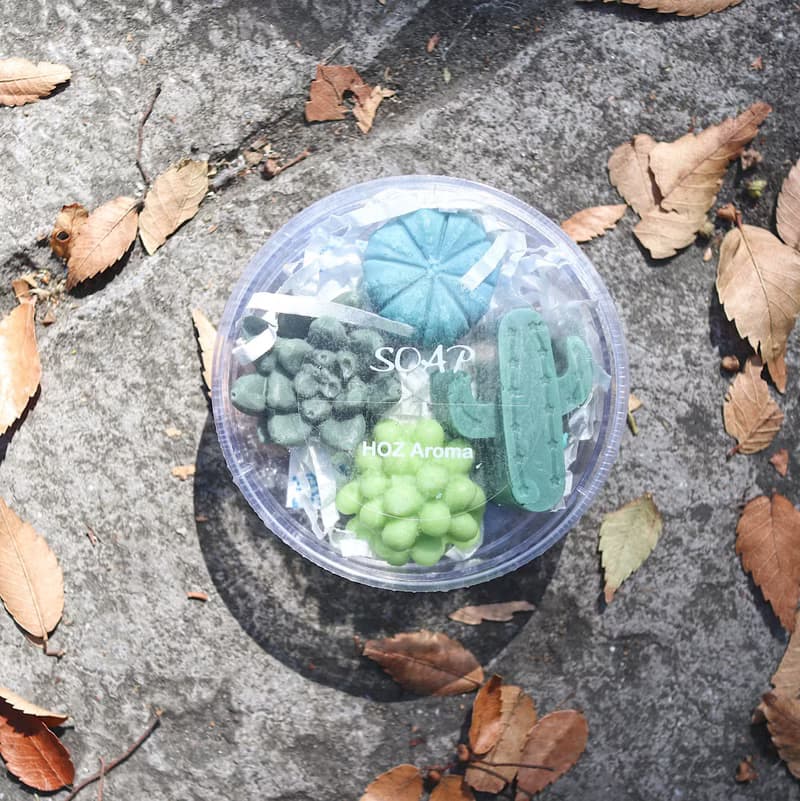 多肉植物 造型手工皂 - 小盒
