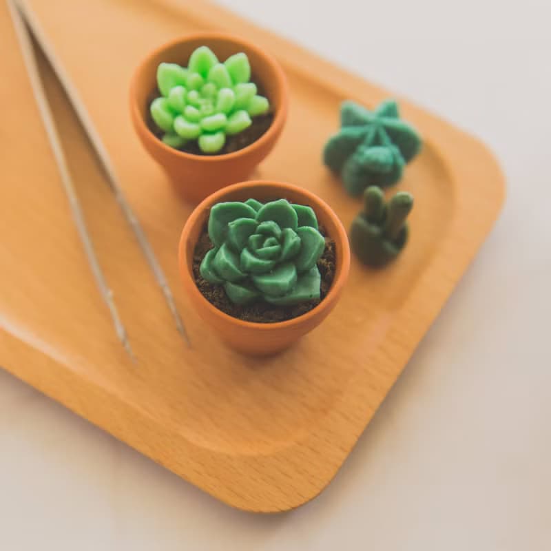 多肉植物 造型手工皂 - 小盒
