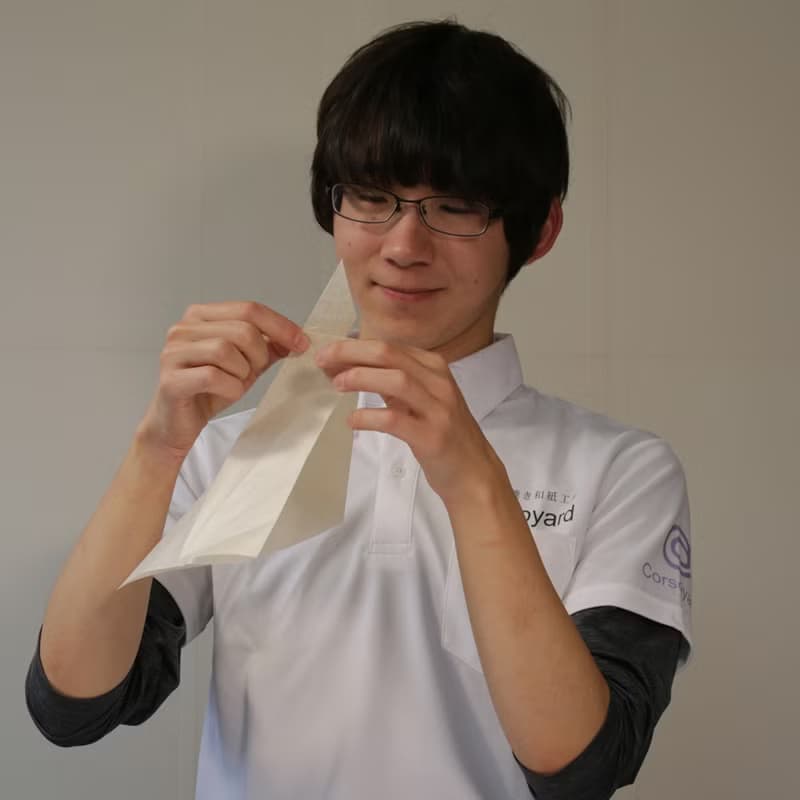 Origami Jewel　金魚の和紙ピアス