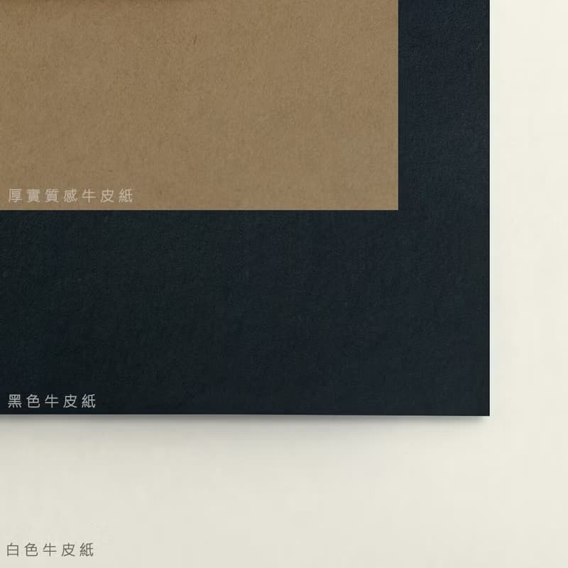 DIY手作3D紙模型 石膏像雕塑系列 - 大衛角面 (3色可選)
