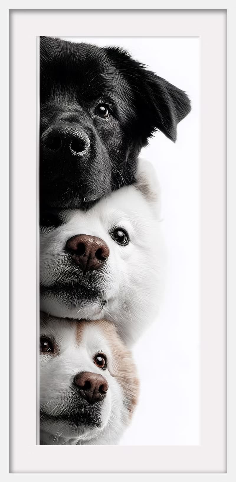 裝飾畫-附畫框 | 入厝禮| 掛畫| 民宿佈置|  室內設計| 海報