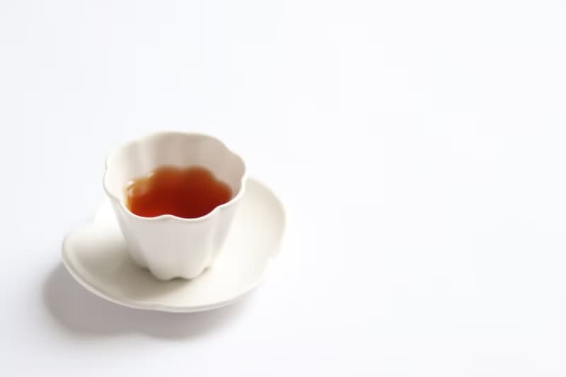 日本茶 和紅茶 茶葉 / 茶包