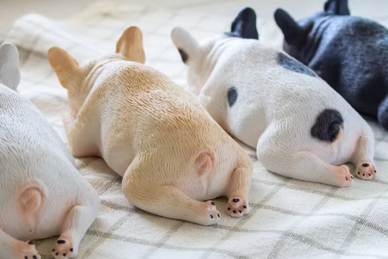 貪睡的法鬥 Frenchbulldog 居家擺飾 / 辦公室療癒小物
