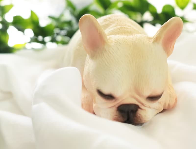 貪睡的法鬥 Frenchbulldog 居家擺飾 / 辦公室療癒小物