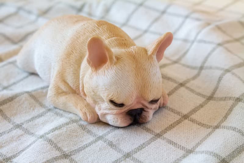 貪睡的法鬥 Frenchbulldog 居家擺飾 / 辦公室療癒小物