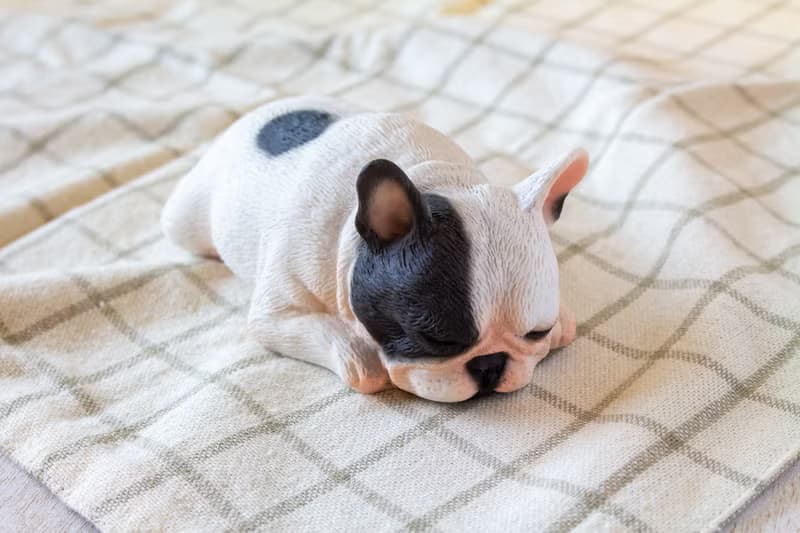 貪睡的法鬥 Frenchbulldog 居家擺飾 / 辦公室療癒小物