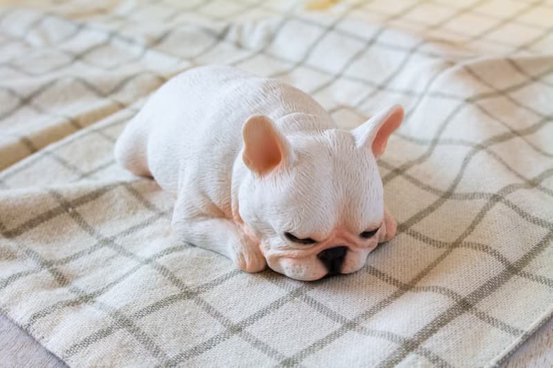 貪睡的法鬥 Frenchbulldog 居家擺飾 / 辦公室療癒小物