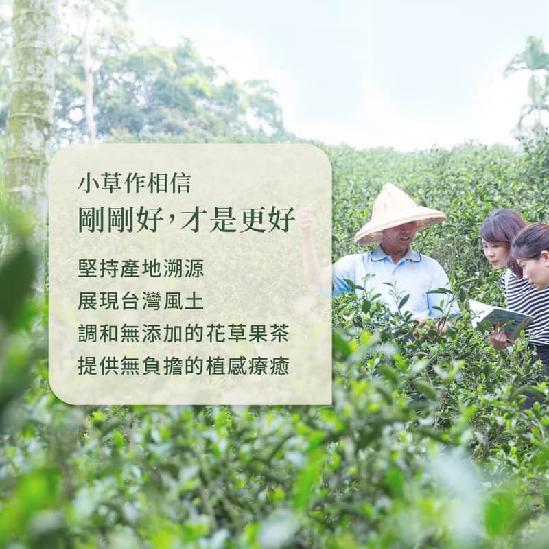 台灣伴手禮 分送親友首選【玫瑰複方亮妍茶】無咖啡因 清爽無負擔