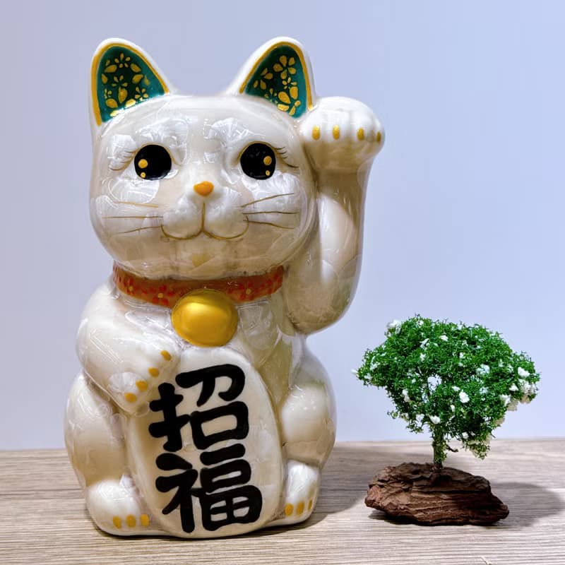 【福杏綻華】日本清水燒招財貓 | 花結晶 杏 - 億万両 左 中號