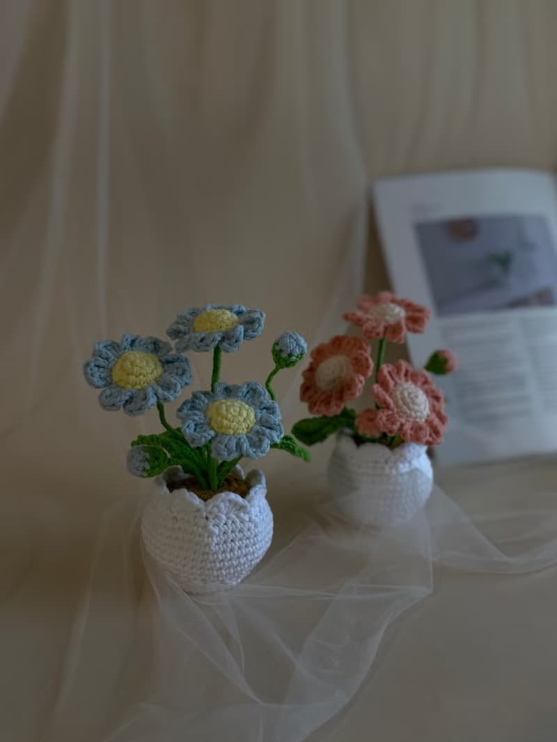 ZHII studio 馬卡龍色小雛菊盆栽 編織花盆 禮盒包裝 情人節花禮