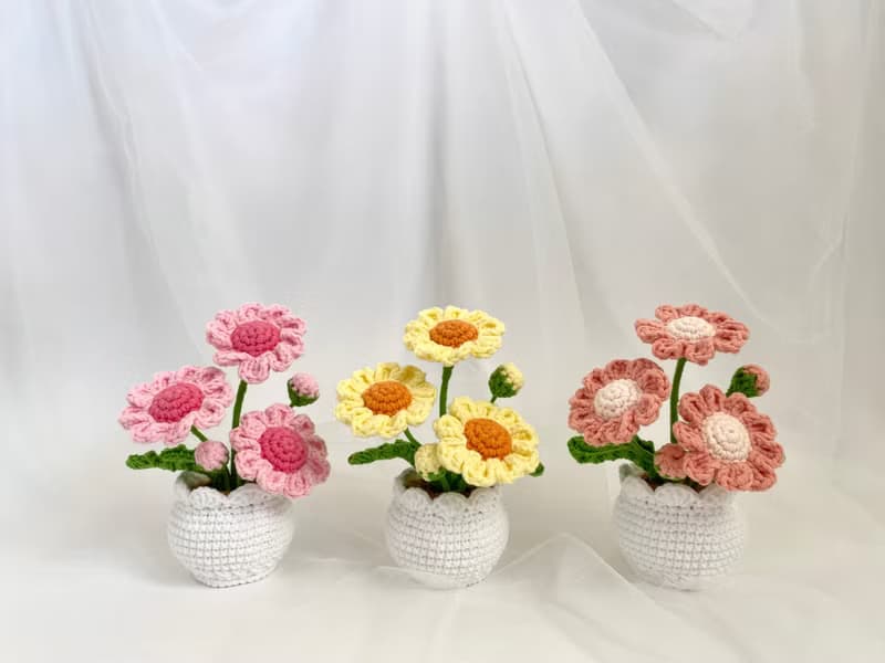 ZHII studio 馬卡龍色小雛菊盆栽 編織花盆 禮盒包裝 情人節花禮
