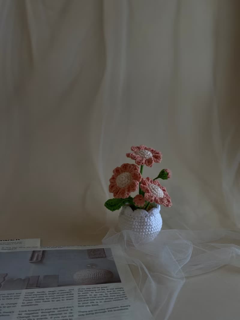 ZHII studio 馬卡龍色小雛菊盆栽 編織花盆 禮盒包裝 情人節花禮