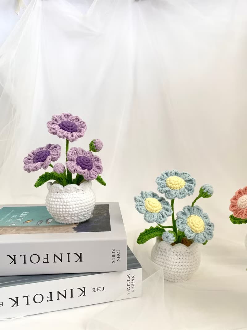 ZHII studio 馬卡龍色小雛菊盆栽 編織花盆 禮盒包裝 情人節花禮