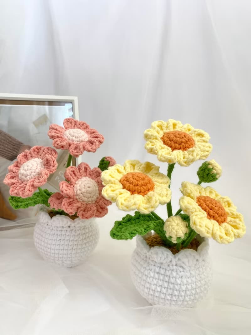 ZHII studio 馬卡龍色小雛菊盆栽 編織花盆 禮盒包裝 情人節花禮