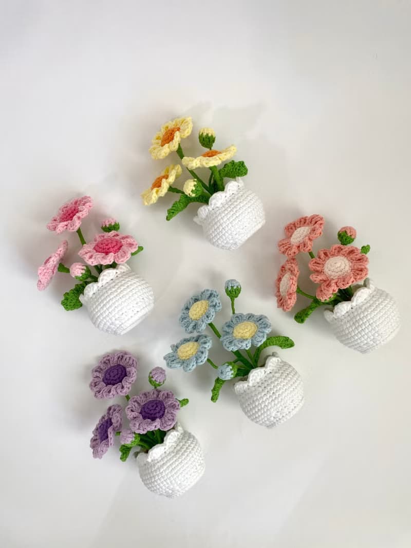 ZHII studio 馬卡龍色小雛菊盆栽 編織花盆 禮盒包裝 情人節花禮