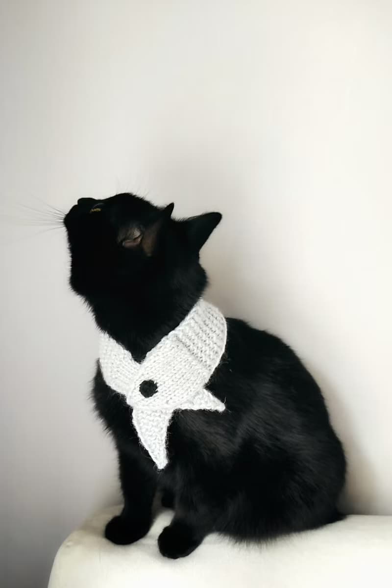 Scarf for pet Fish cat collar Pet cowl Hand knit neck warmer neck accessories